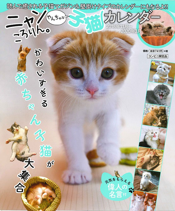 やんちゃ な 子猫 谷 9